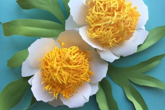 Peony Paper Flower