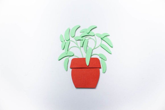 Potted Sage Layered Plant
