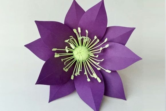 Trumpet Flower Hellebore Review