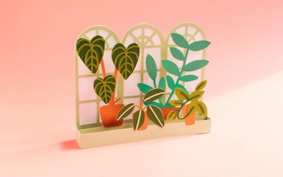 Window Pane with Plants Box Card